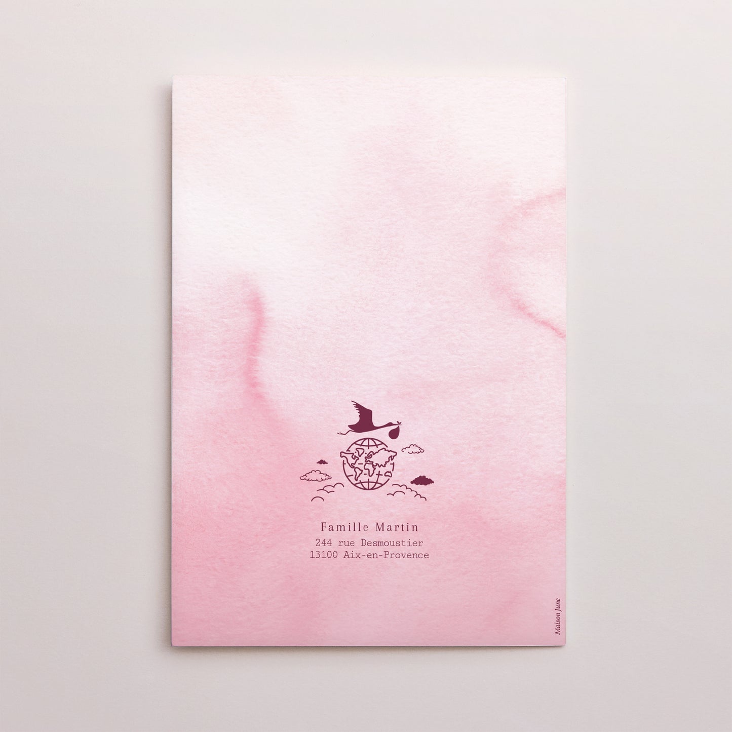 Faire-part Naissance Double volet portrait Passeport de bienvenue photo N° 3