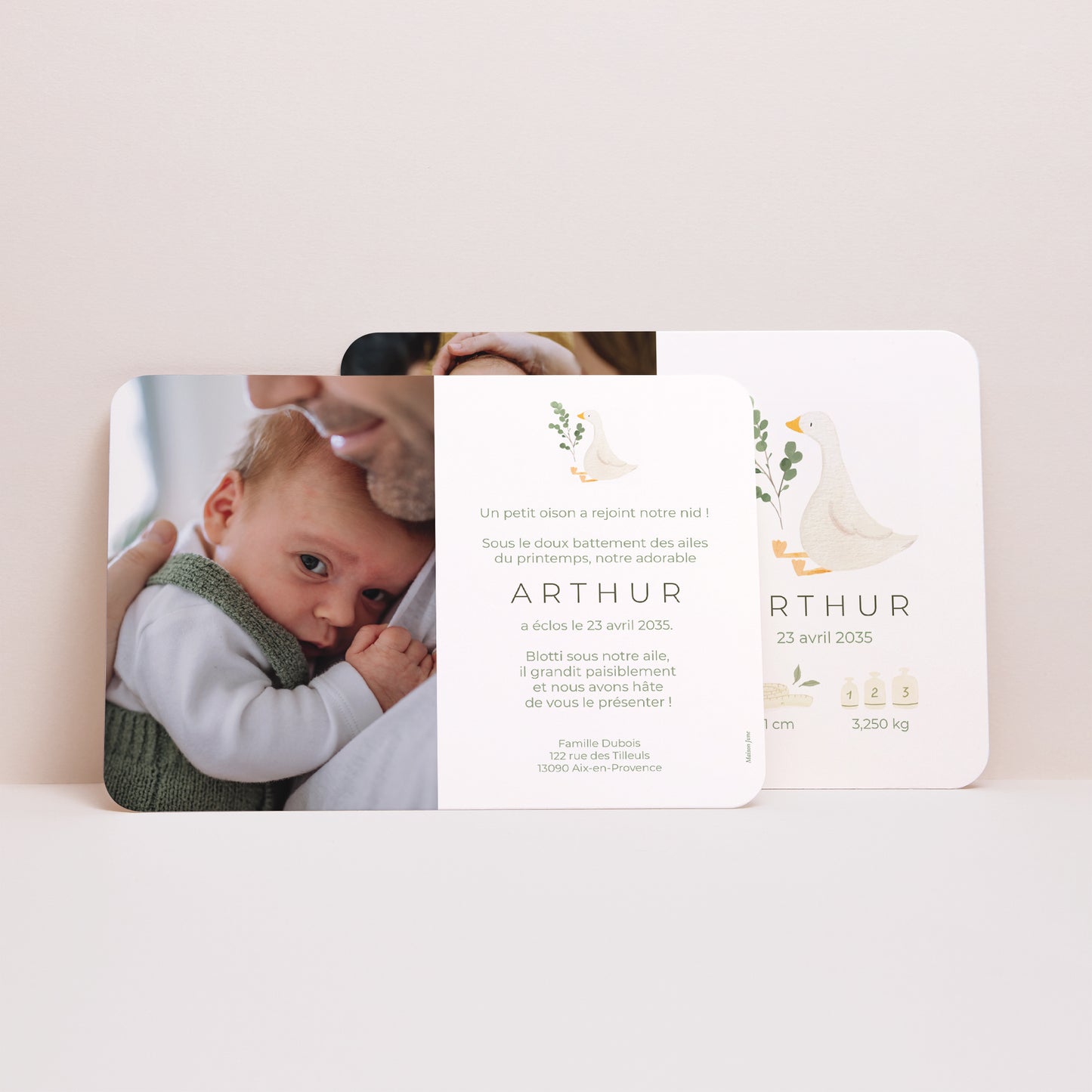 Faire-part Naissance Paysage, bords arrondis Plume de Douceur photo N° 3