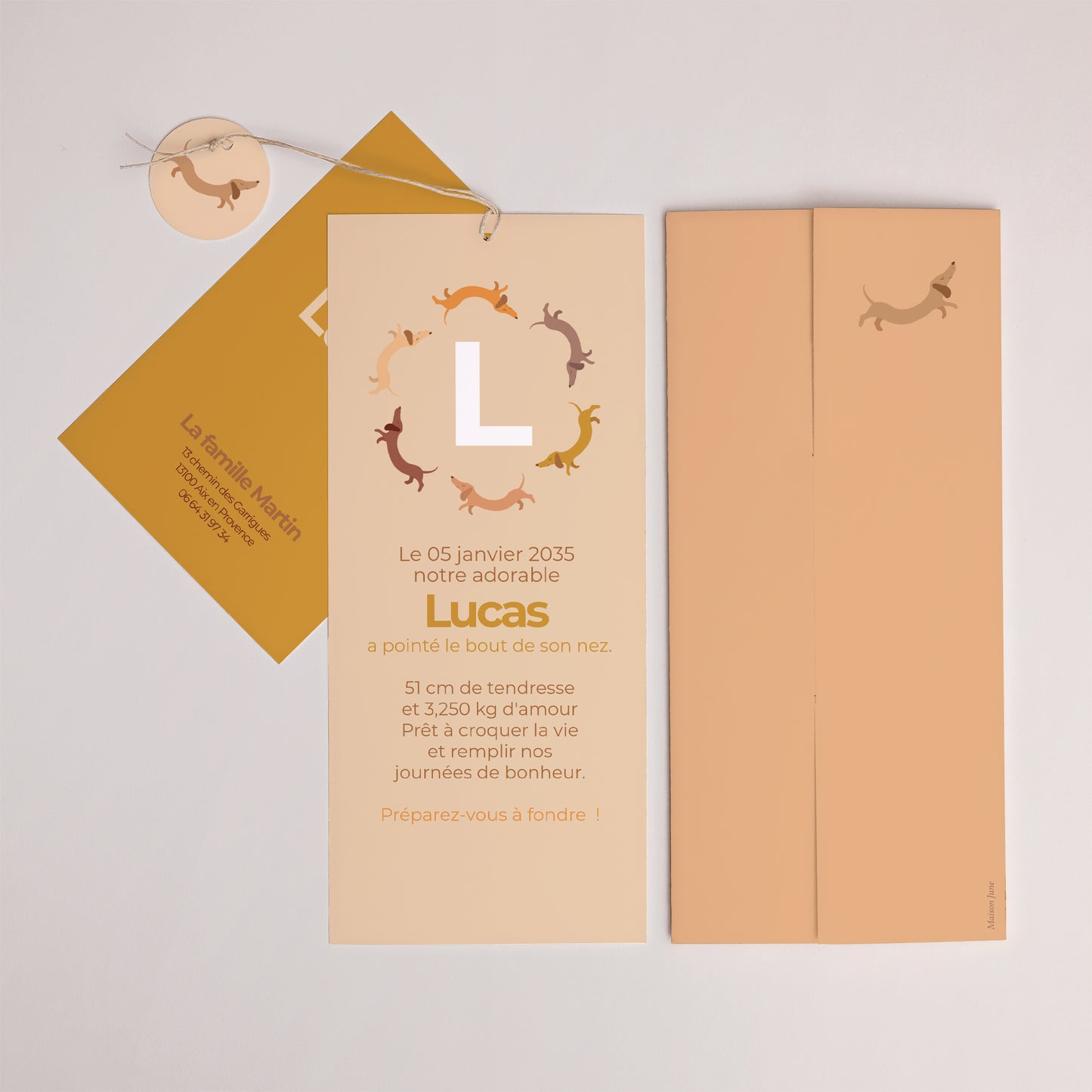 Faire-part Naissance Pochette portrait 2 cartes, étiquette Hot Dog photo N° 4