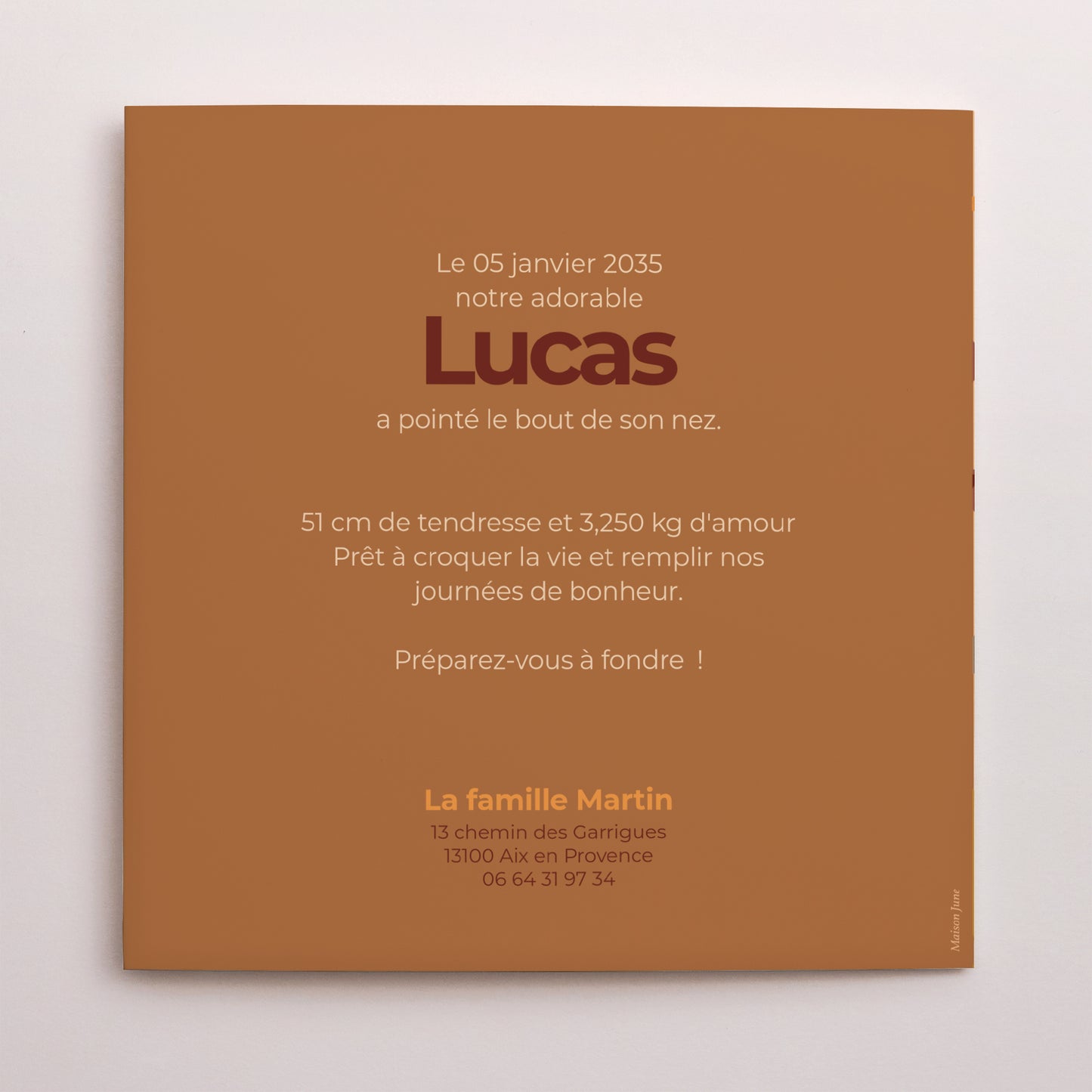 Faire-part Naissance Pochette disque Hot Dog photo N° 3