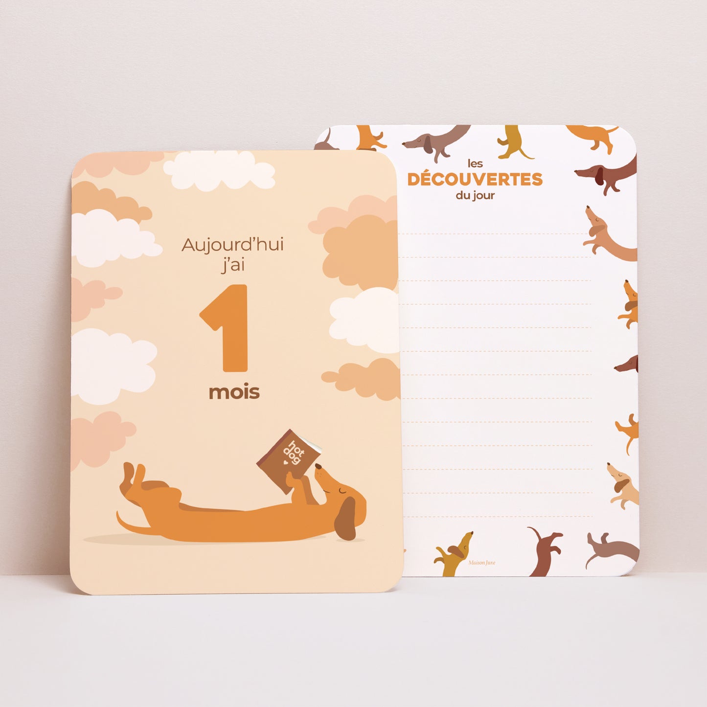 Carte étape bébé Naissance Lot de 12 Hot Dog photo N° 4