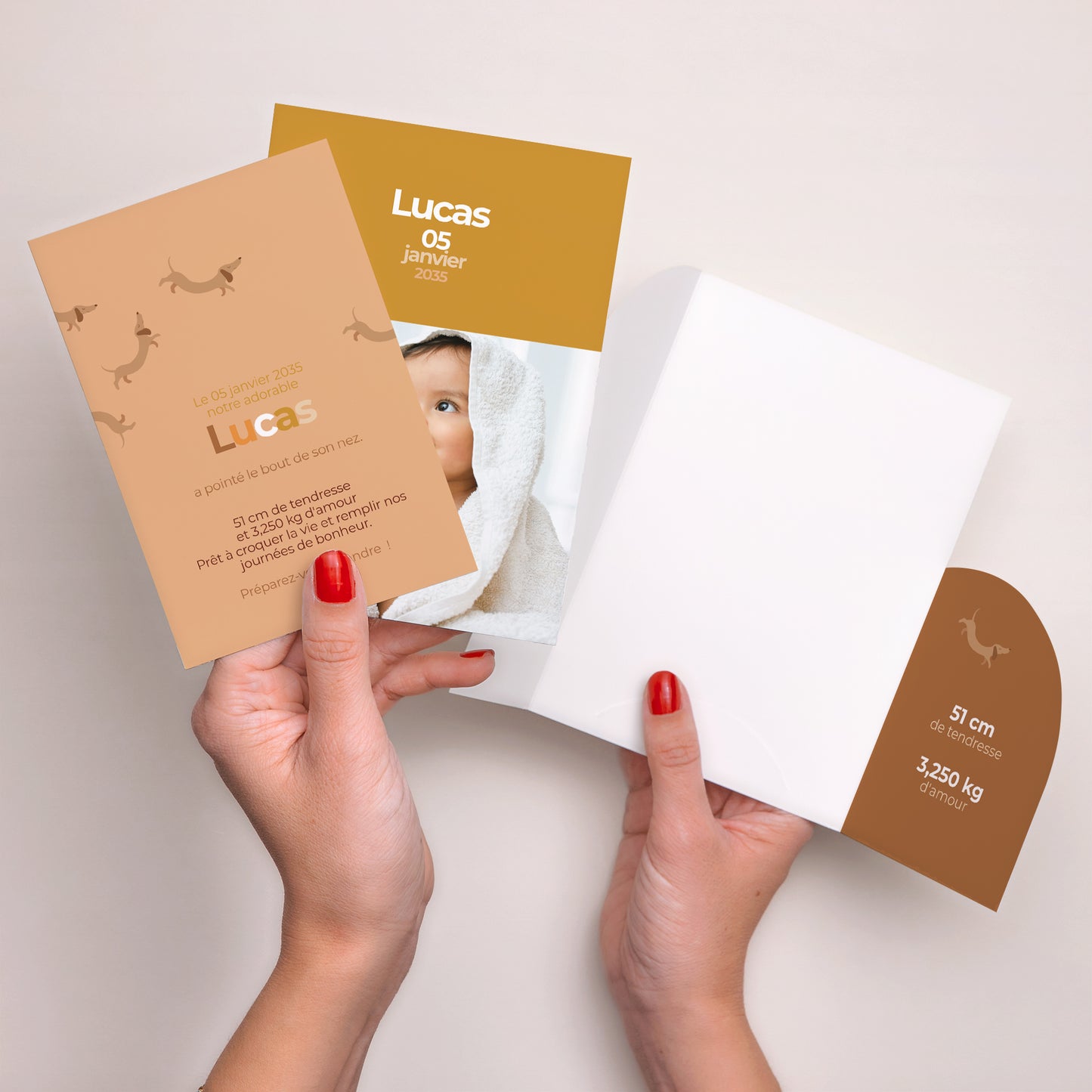 Faire-part Naissance Pochette 2 cartes Hot Dog photo N° 4
