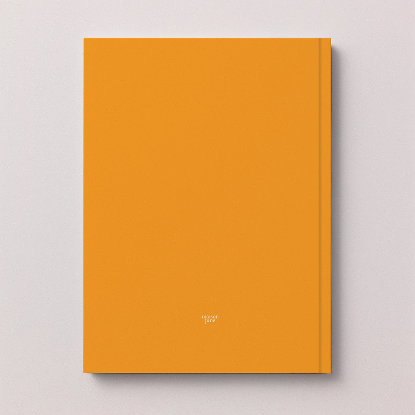 Album photo Photos A4 portrait 48 pages Grands souvenirs photo N° 5