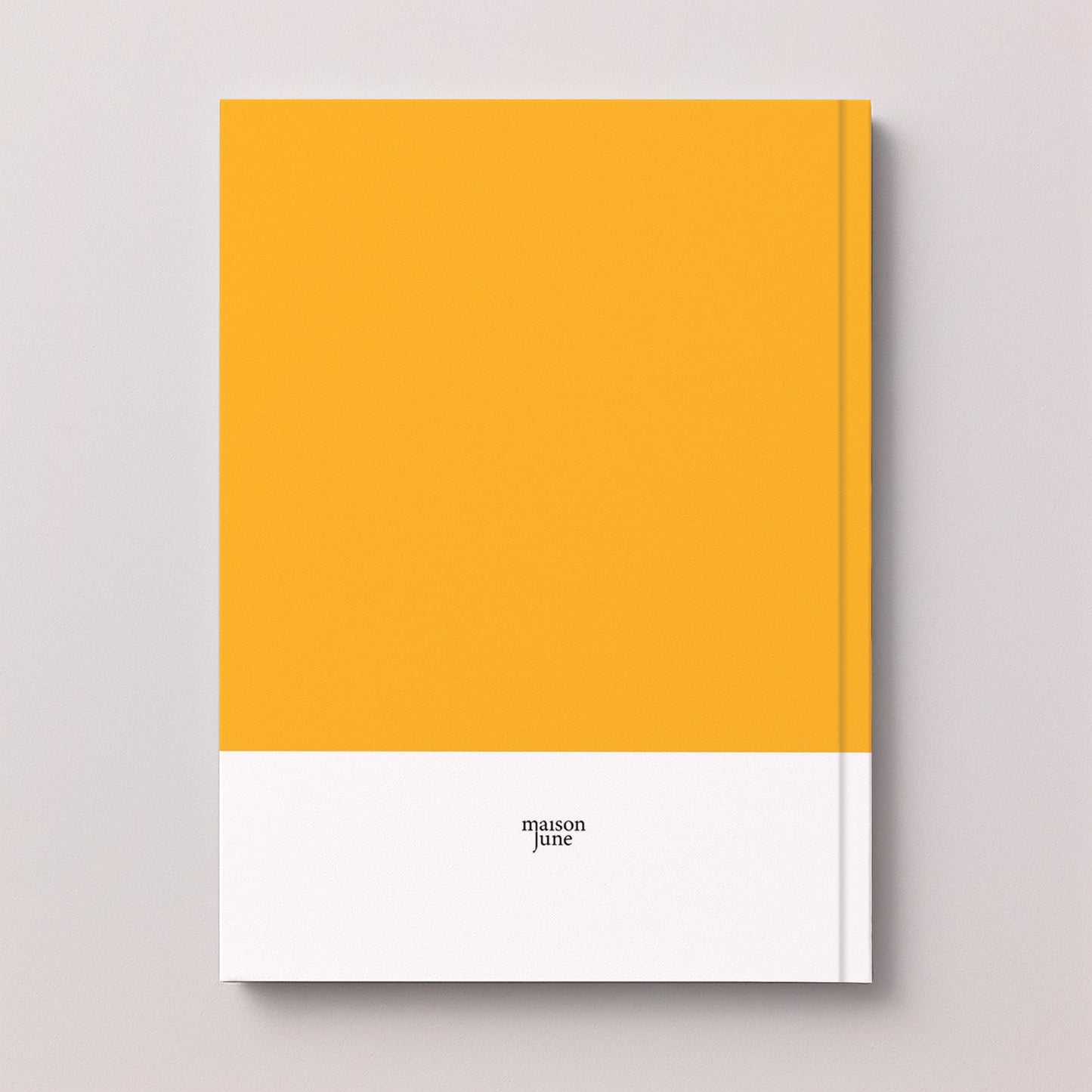 Album photo Photos A4 portrait 48 pages Carnet de couleurs photo N° 5