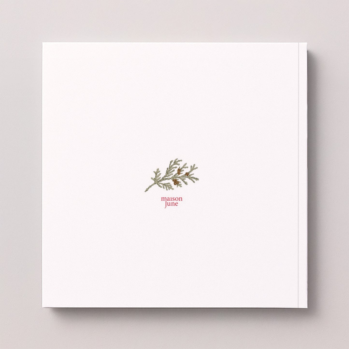 Album photo Fin d'année Carré 30 pages Feuillages d’hiver photo N° 5