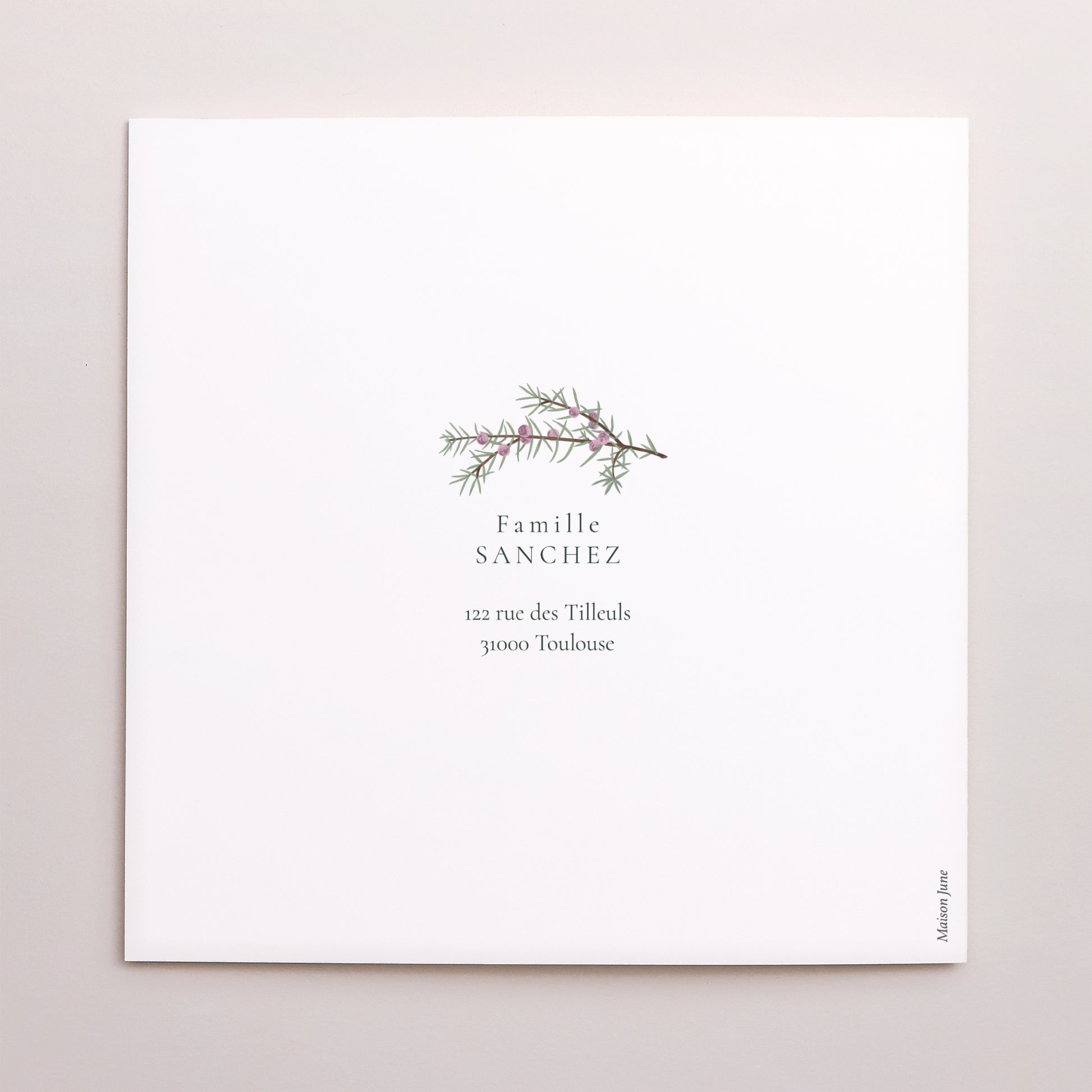 Carte de Noel Fin d'année Carré double volet Feuillages d’hiver photo N° 3