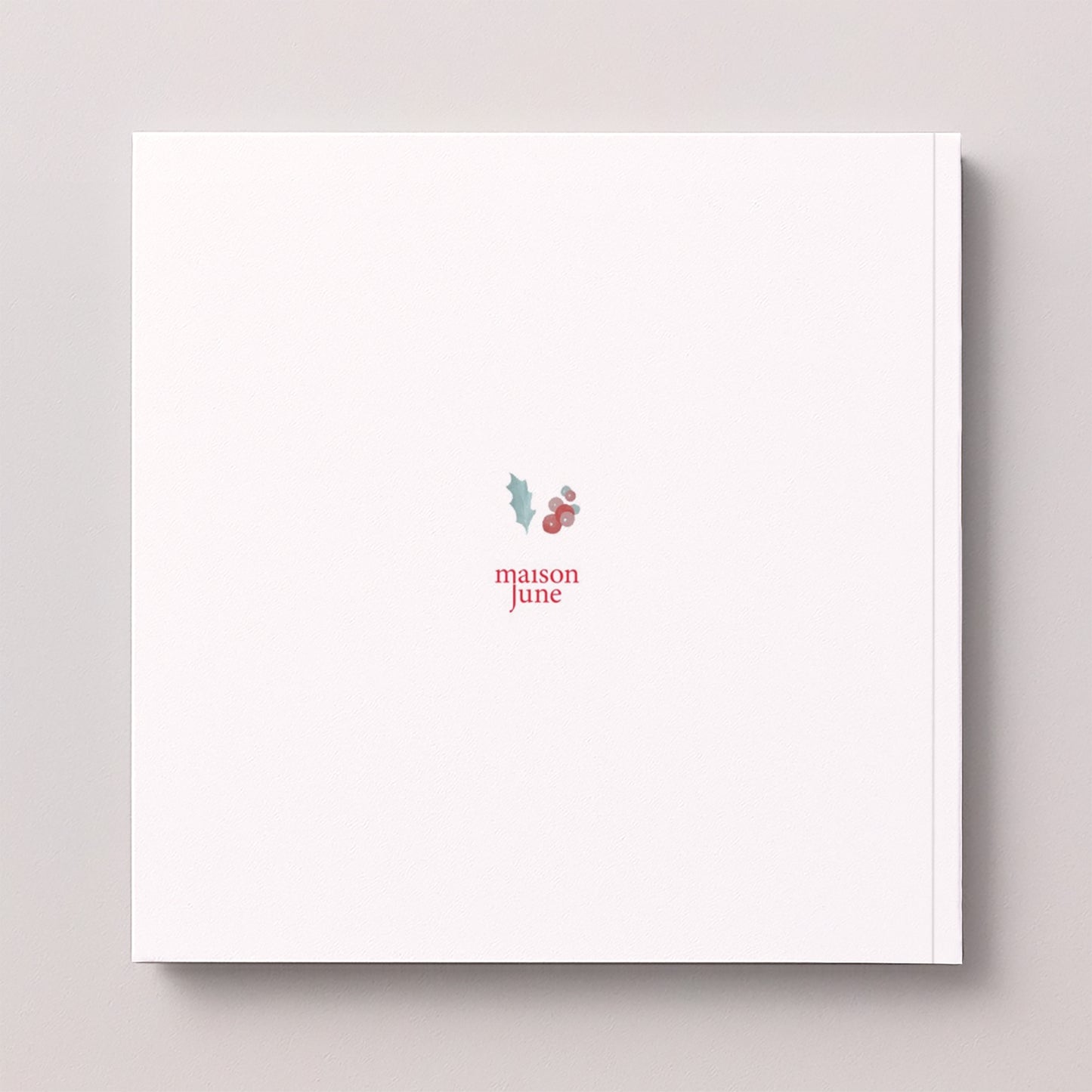 Album photo Fin d'année Carré 30 pages Éclats de Houx photo N° 5