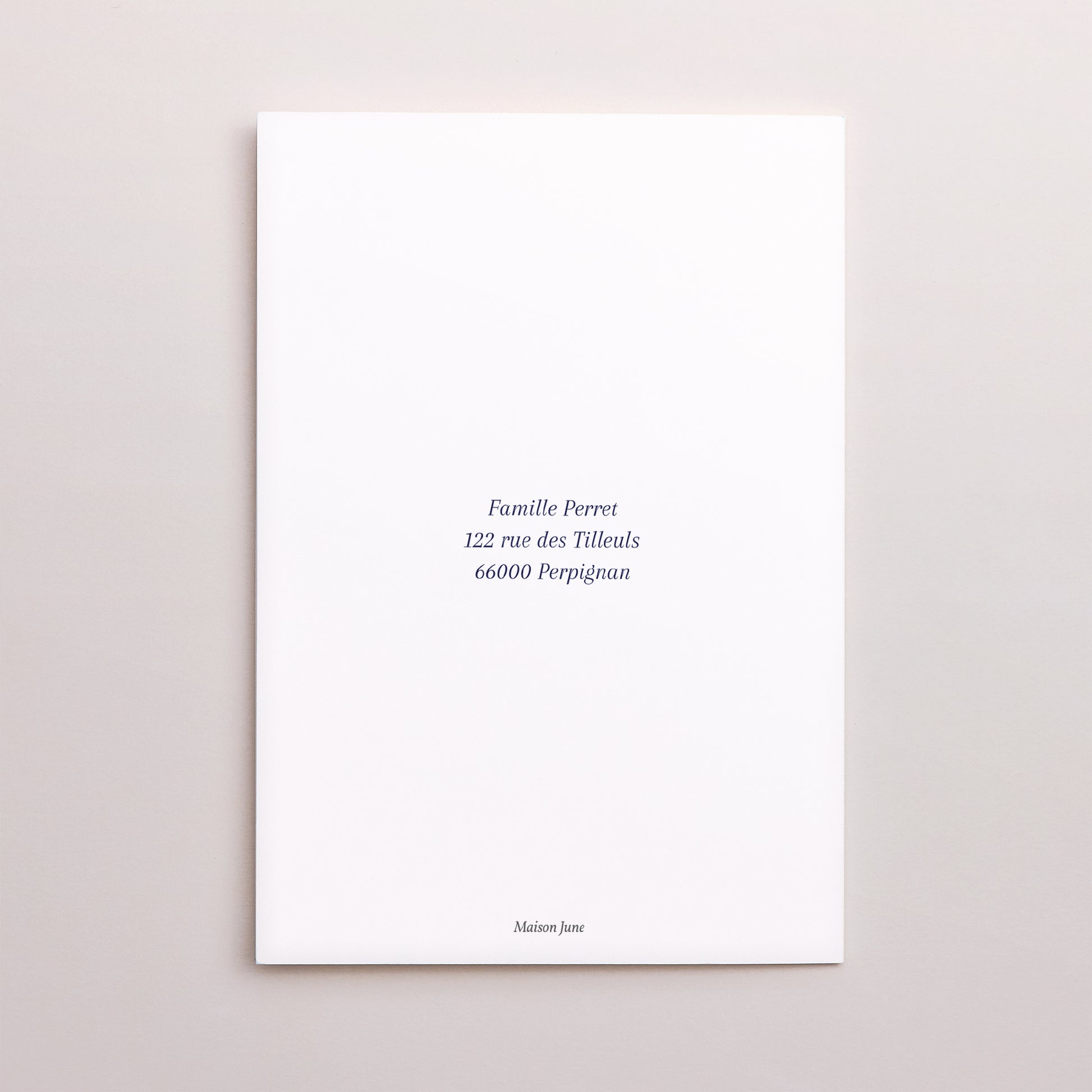 Carte de Noel Fin d'année Double volet portrait Flocons de Noël photo N° 3