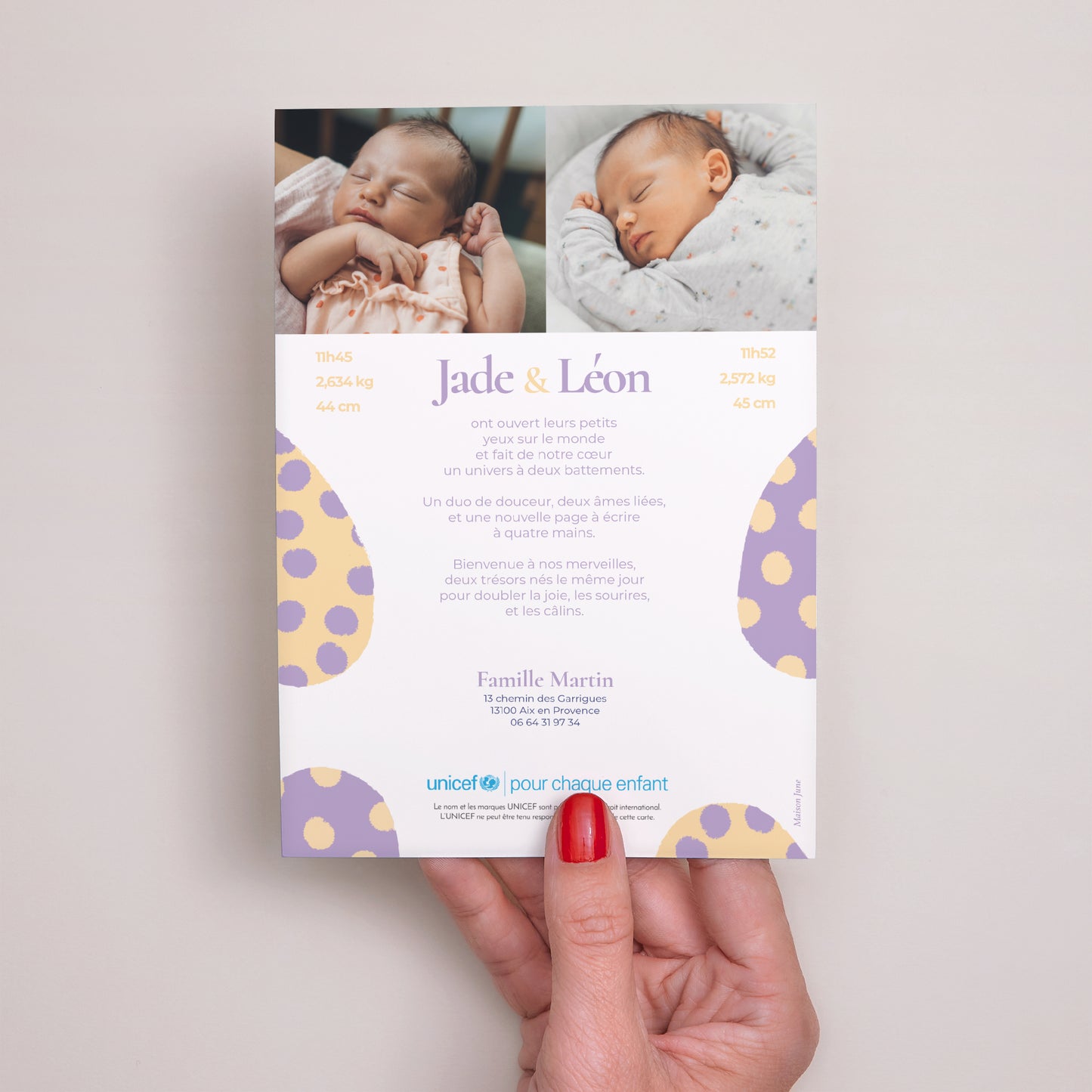 Faire-part Naissance Portrait Deux petits choux photo N° 3