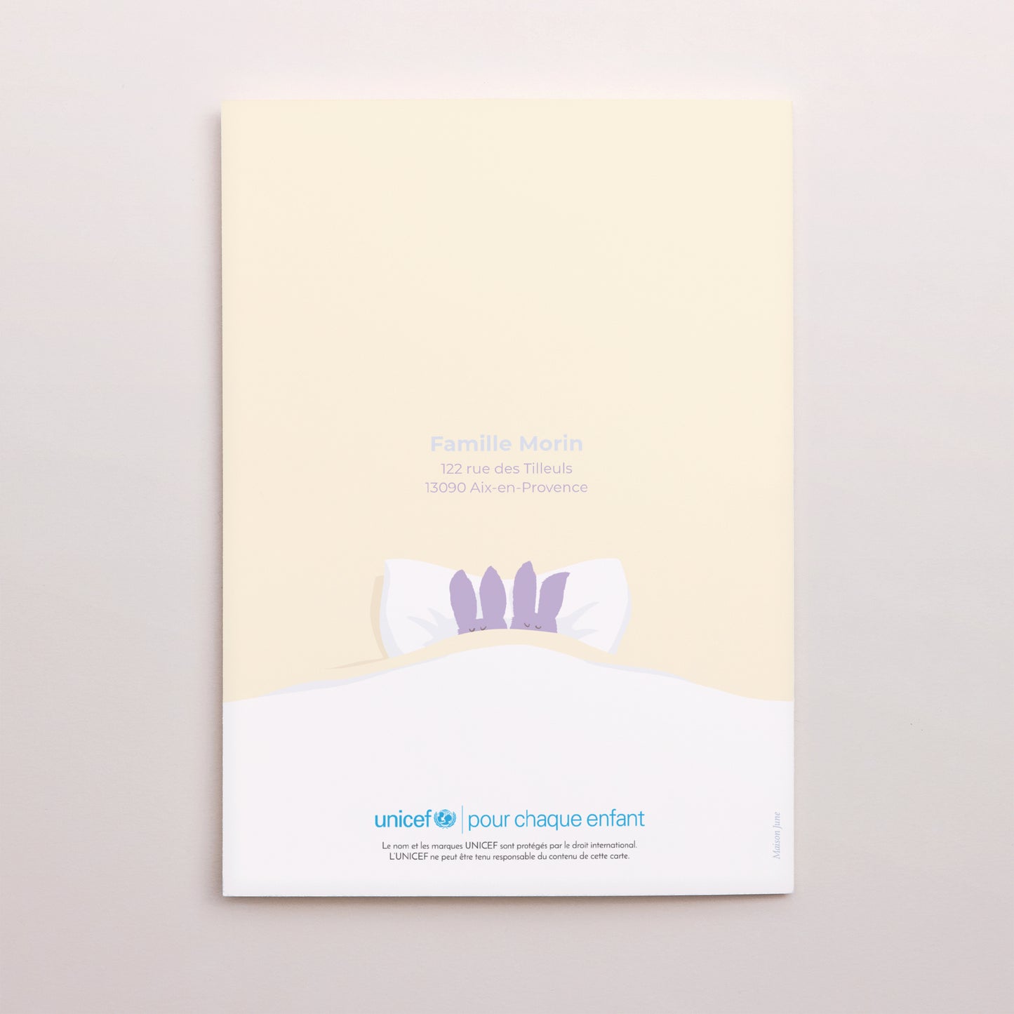 Faire-part Naissance Portrait double volet Jumeaux lapins photo N° 3