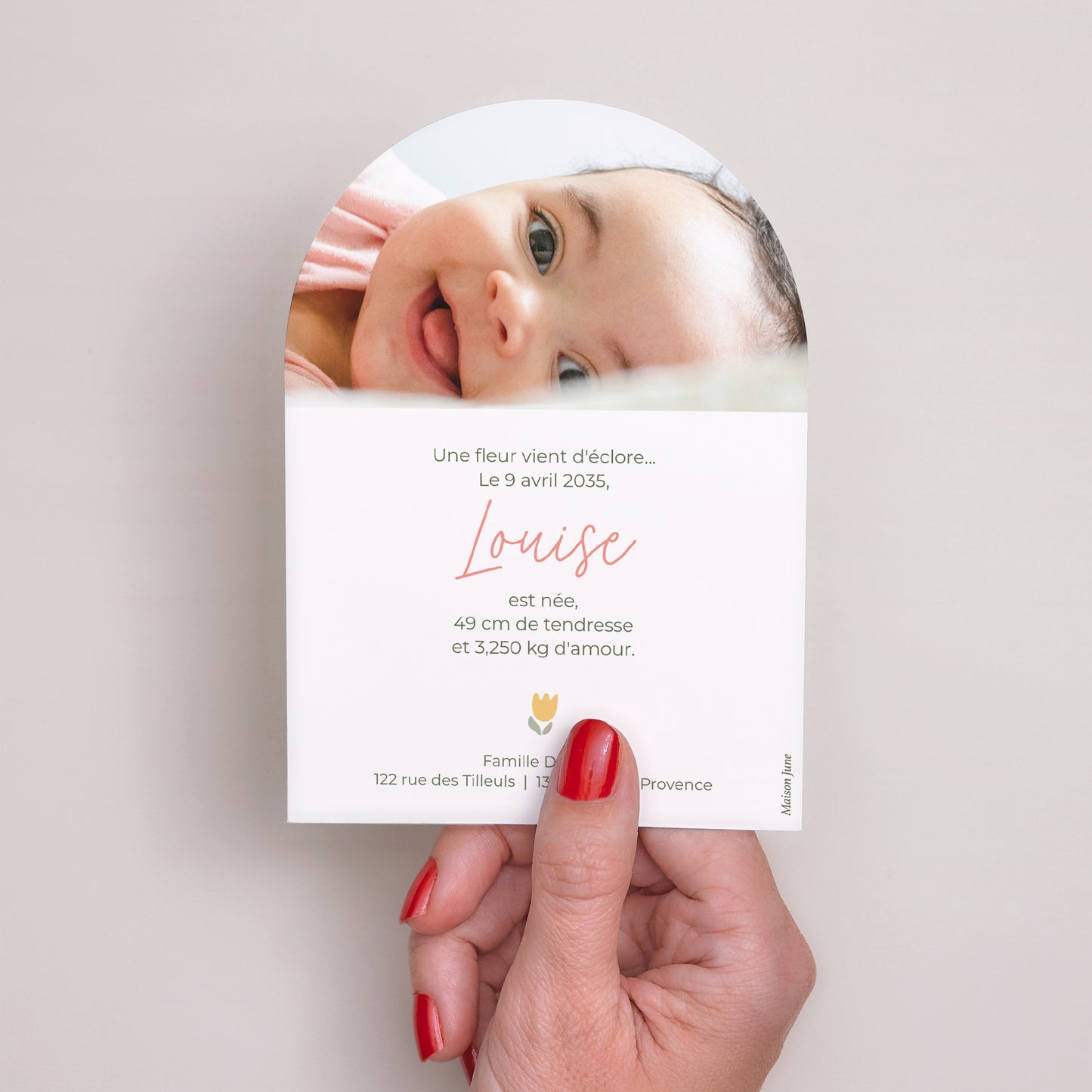 Faire-part Naissance Petite arche Petit Jardin de Douceur photo N° 3