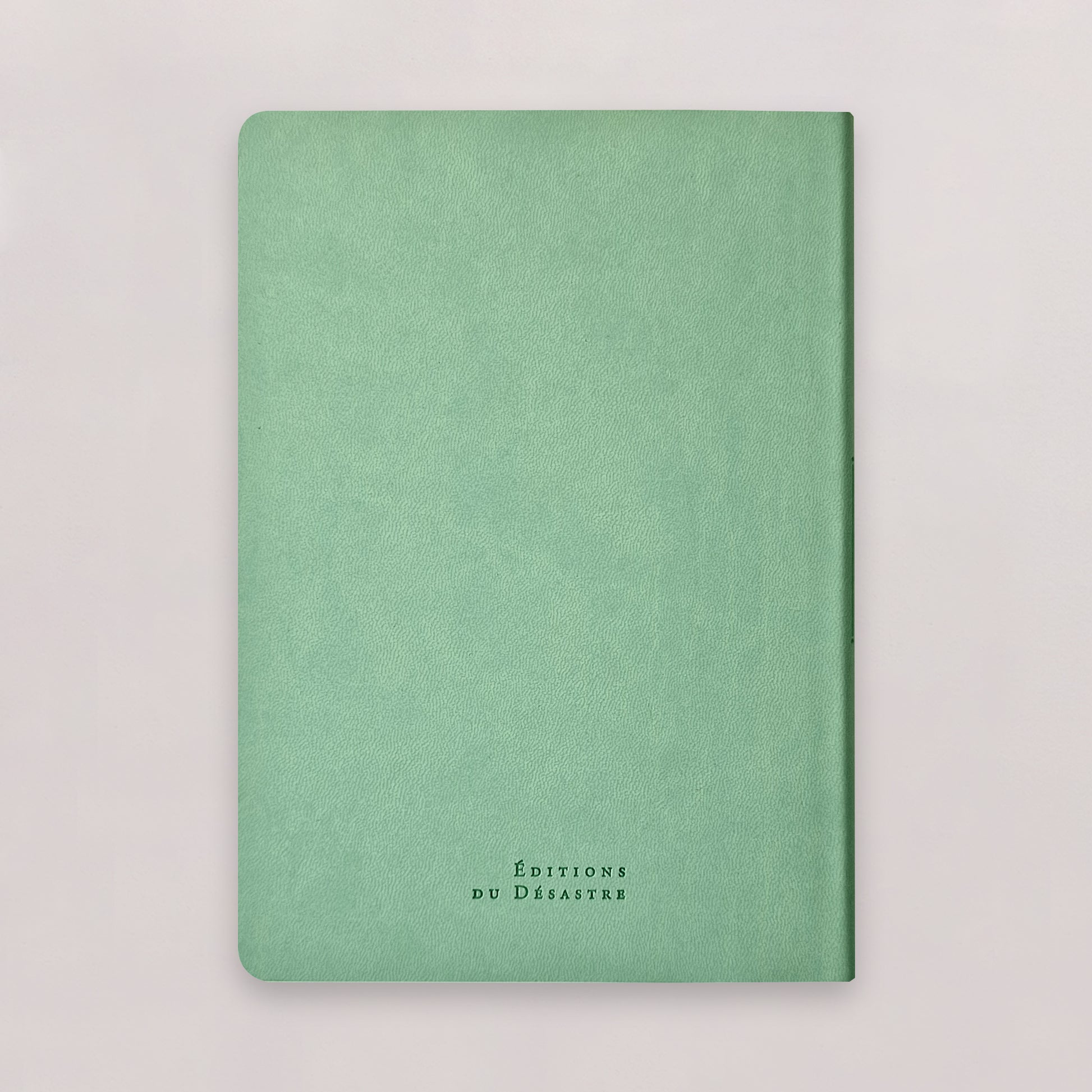 Carnet Nuance - Simili cuir - A5 - Menthe claire - 192 pages photo N° 2