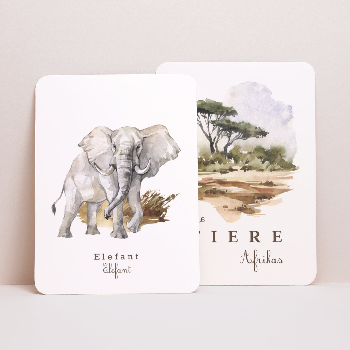 Carte étape bébé Naissance Lot de 12 Les animaux d'Afrique photo N° 5