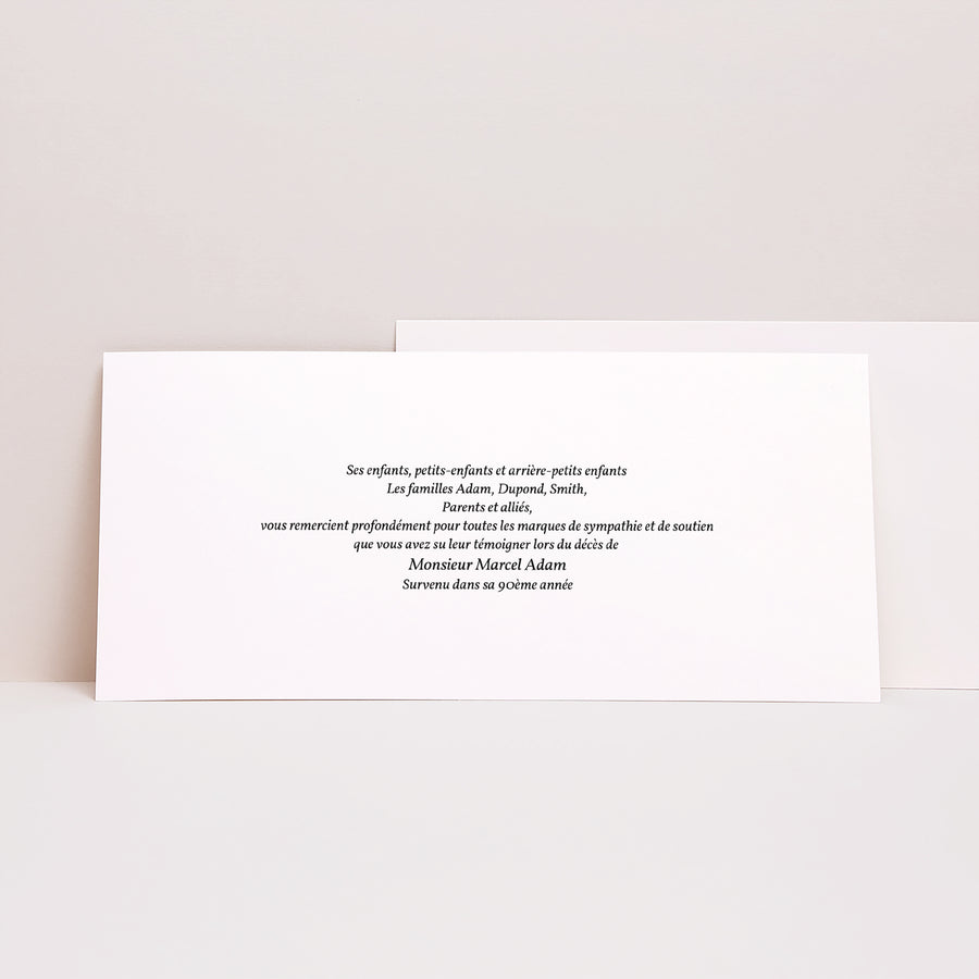 Faire-part Décès Panoramique paysage Douleur de l'absence - carte de remerciements photo