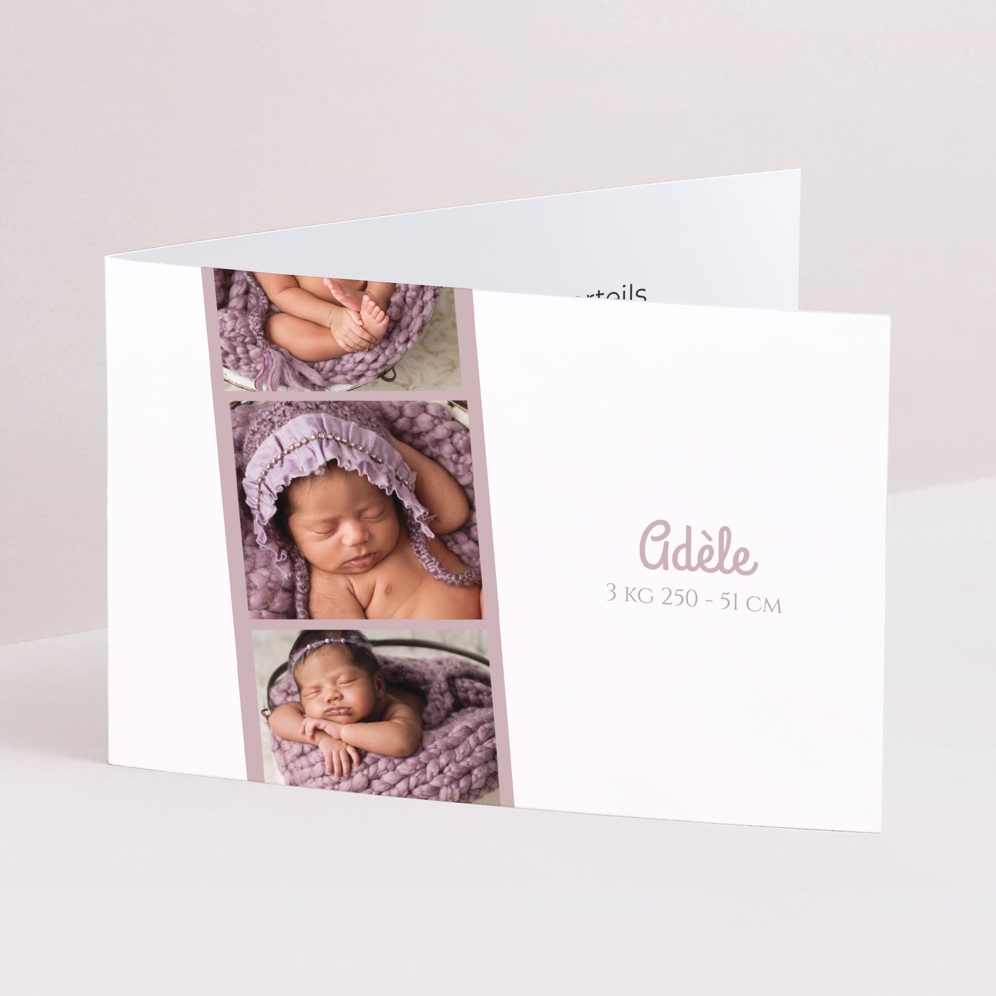 Faire-part Naissance Double volet paysage Bande grise et petites fleurs photo N° 1