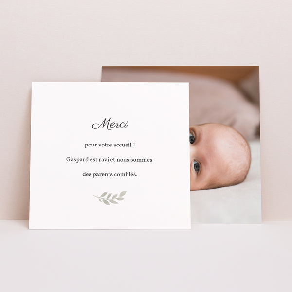 Remerciements Naissance Carré Renardeau photo