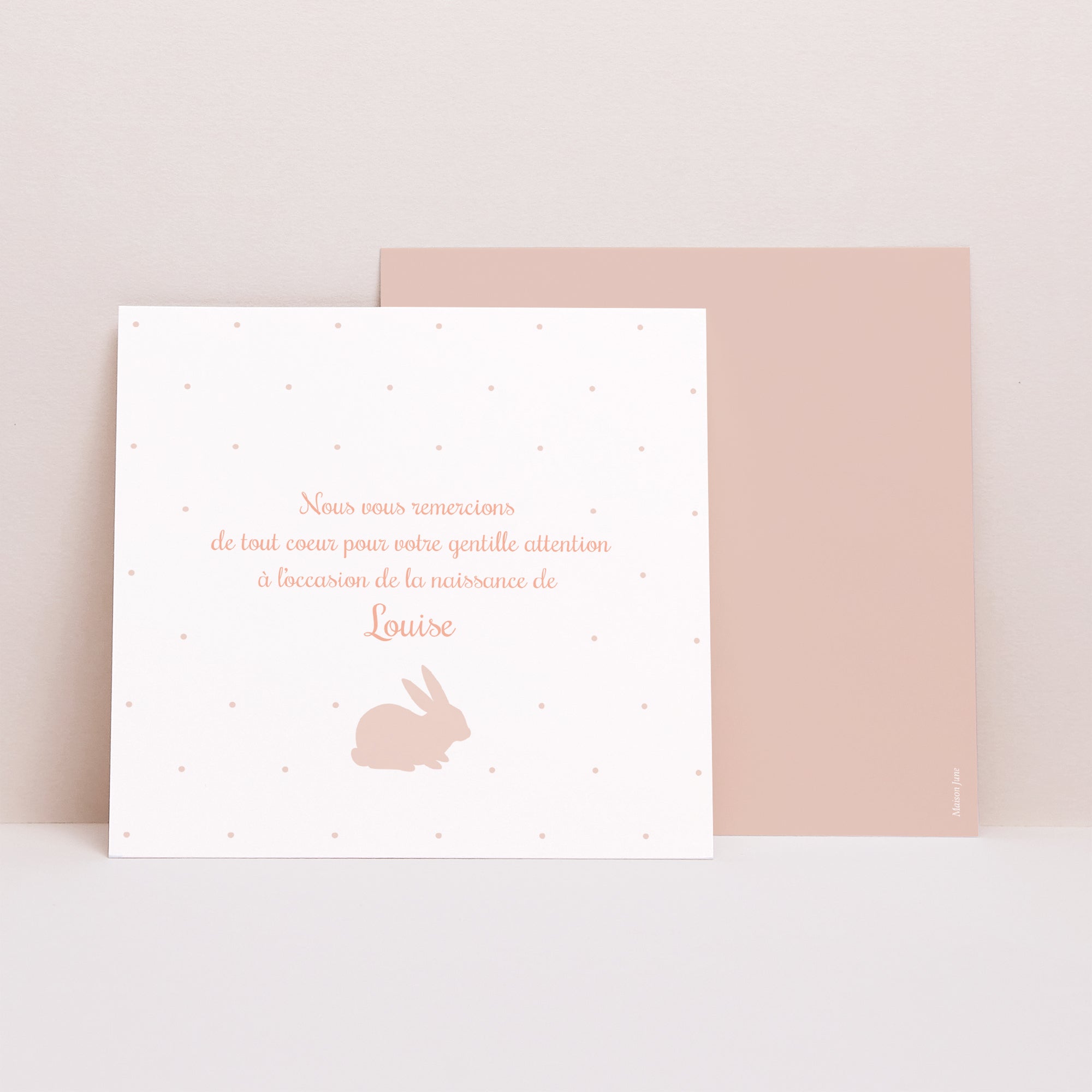 Remerciements Naissance Carré Lapin Vintage photo N° 1