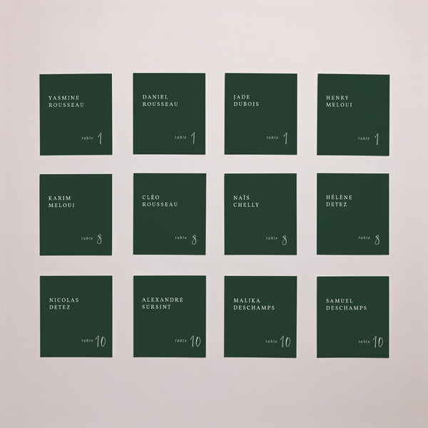 Marque-place Mariage Lot de 12 Eucalyptus photo