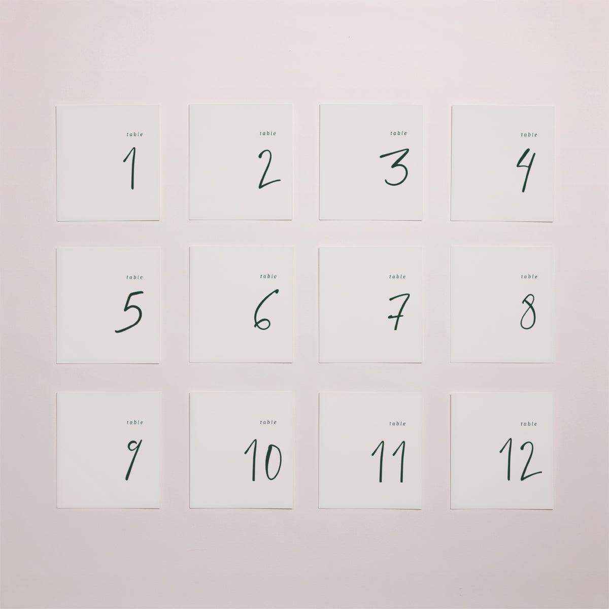 Tirage photo Mariage Lot de 12 Eucalyptus photo N° 1