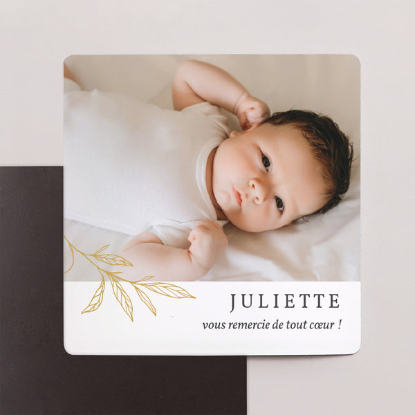 Remerciements Naissance Lot de 9, magnétique Jolie Pousse photo