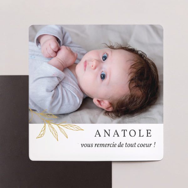 Remerciements Naissance Lot de 9, magnétique Joli Brin photo