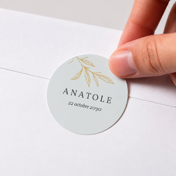 Sticker Naissance Rond Joli Brin photo