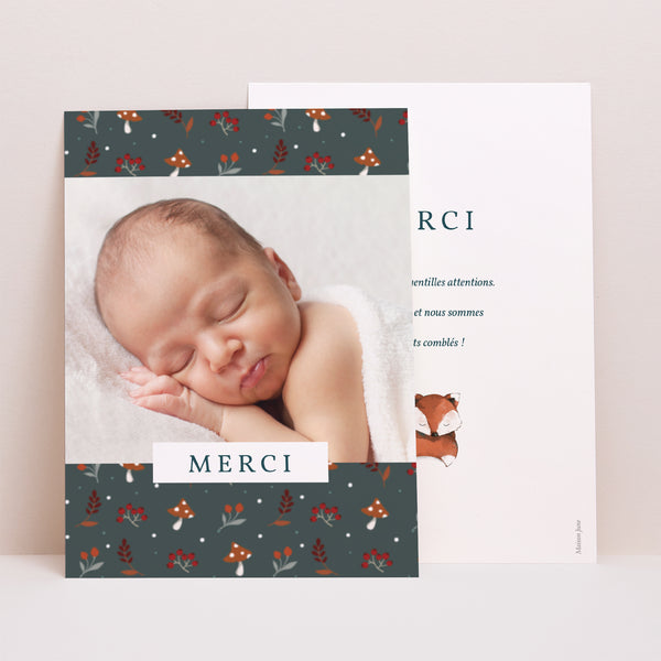 Remerciements Naissance Portrait Renard Roux photo