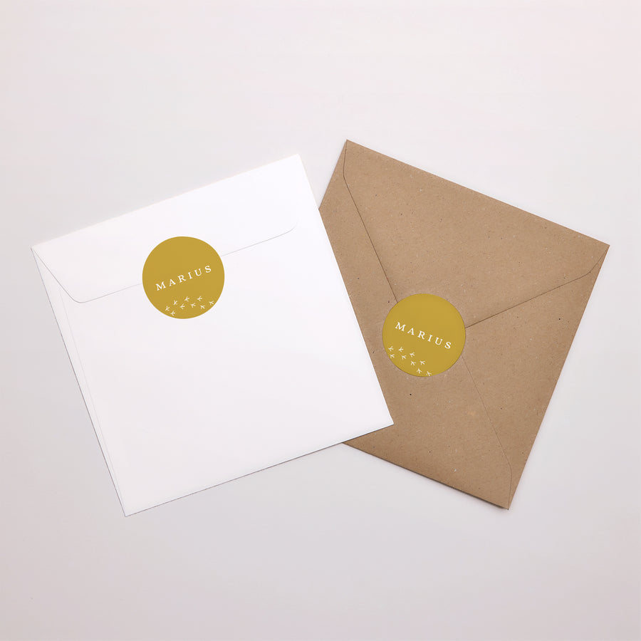Sticker Naissance Rond Ratons Laveurs photo