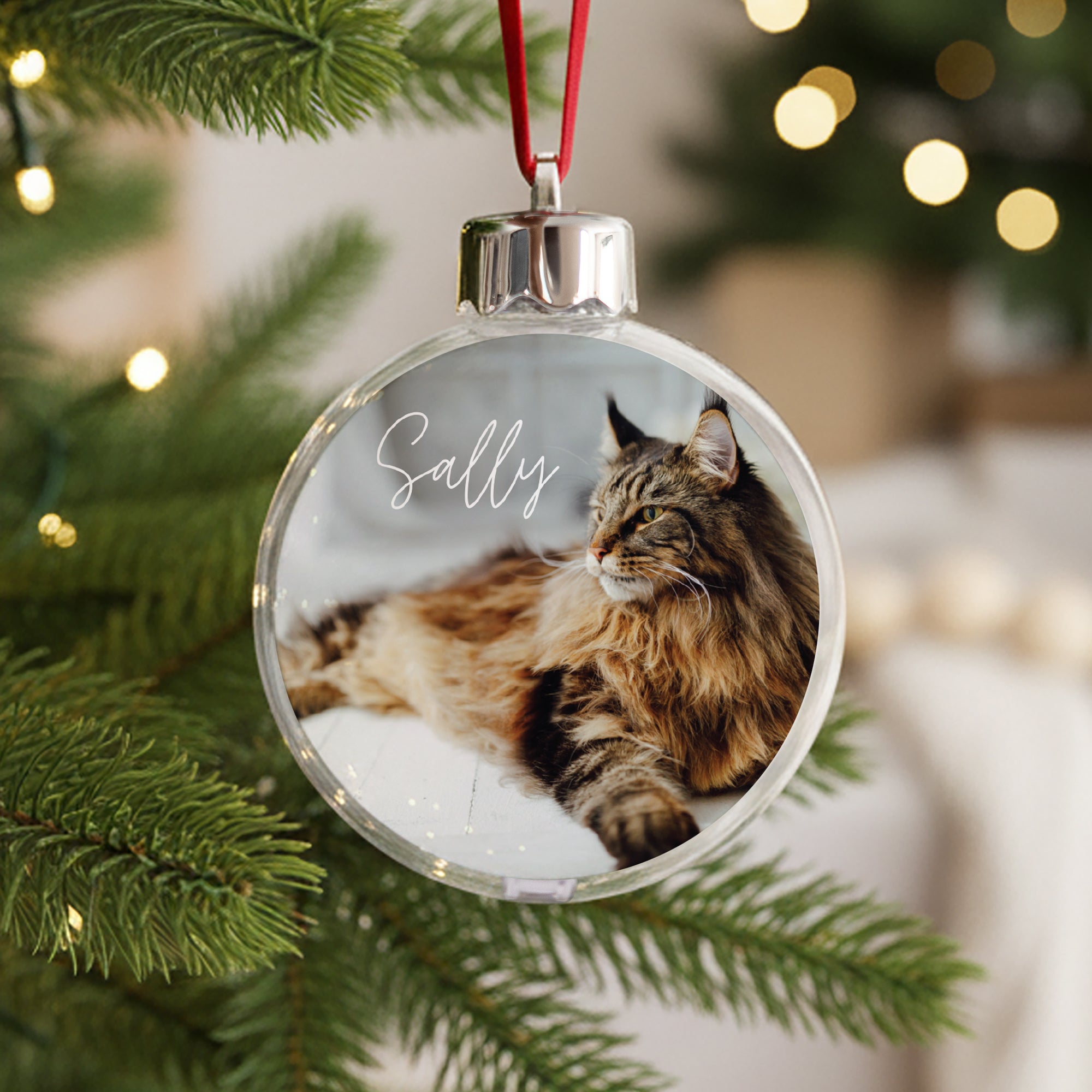 Boule de Noël Fin d'année Ronde Chat photo N° 1