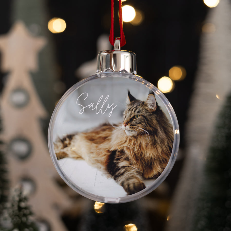 Boule de Noël Fin d'année Ronde Chat photo