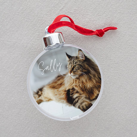 Boule de Noël Fin d'année Ronde Chat