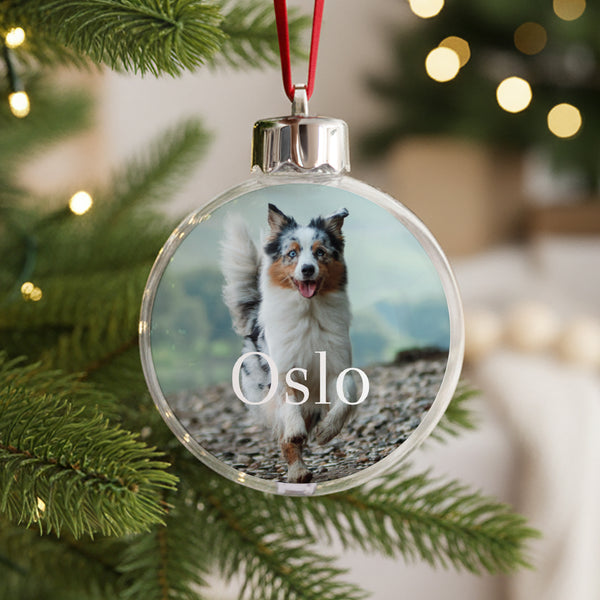 Boule de Noël Fin d'année Ronde Chien photo