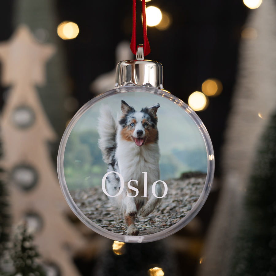Boule de Noël Fin d'année Ronde Chien photo