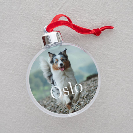 Boule de Noël Fin d'année Ronde Chien