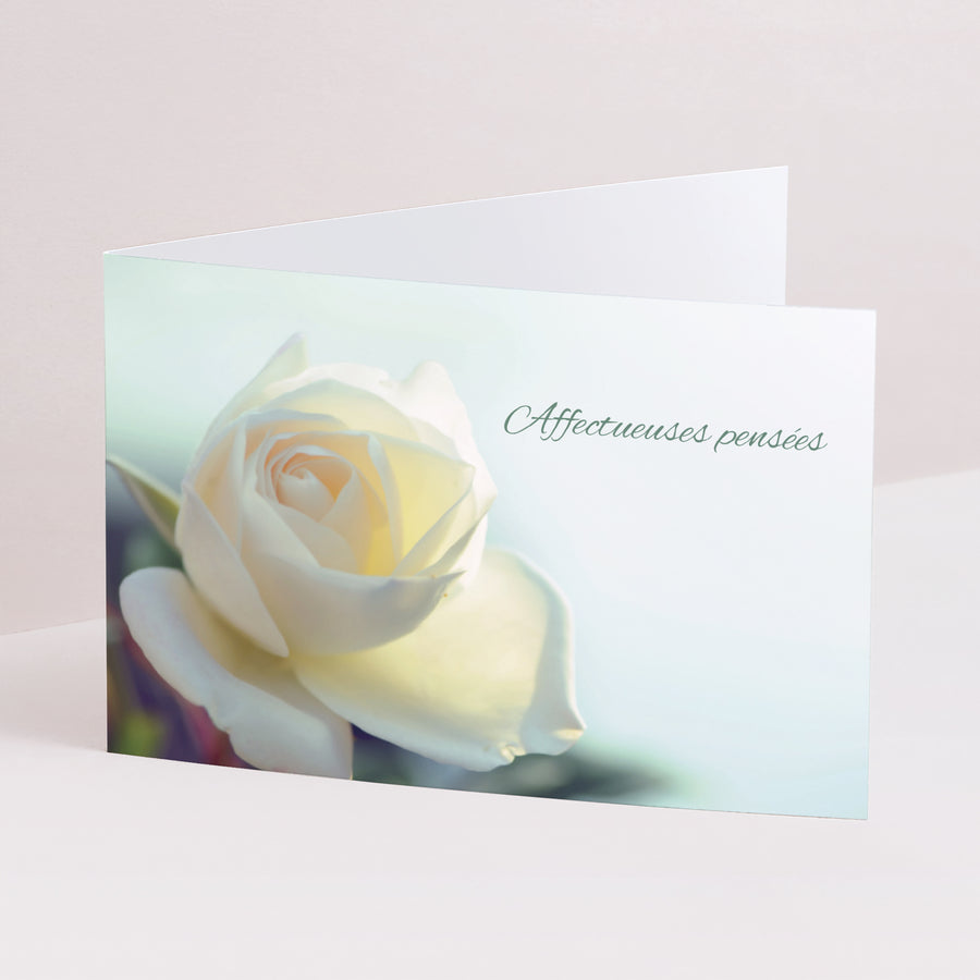 Condoléances Décès Double volet paysage Rose Jaune, Pensées affectueuses photo