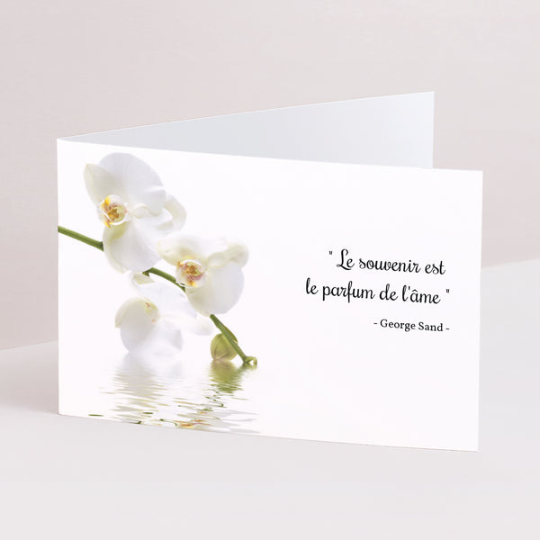 Condoléances Décès Double volet paysage Orchidées, Pureté touchante photo