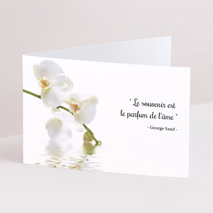 Condoléances Décès Double volet paysage Orchidées, Pureté touchante photo