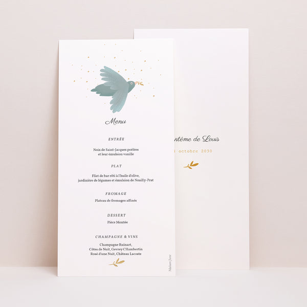 Menu Baptême Panoramique portrait Oiseau bleu photo
