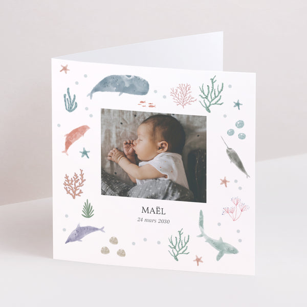 Faire-part Naissance Carré double volet Fonds marins photo