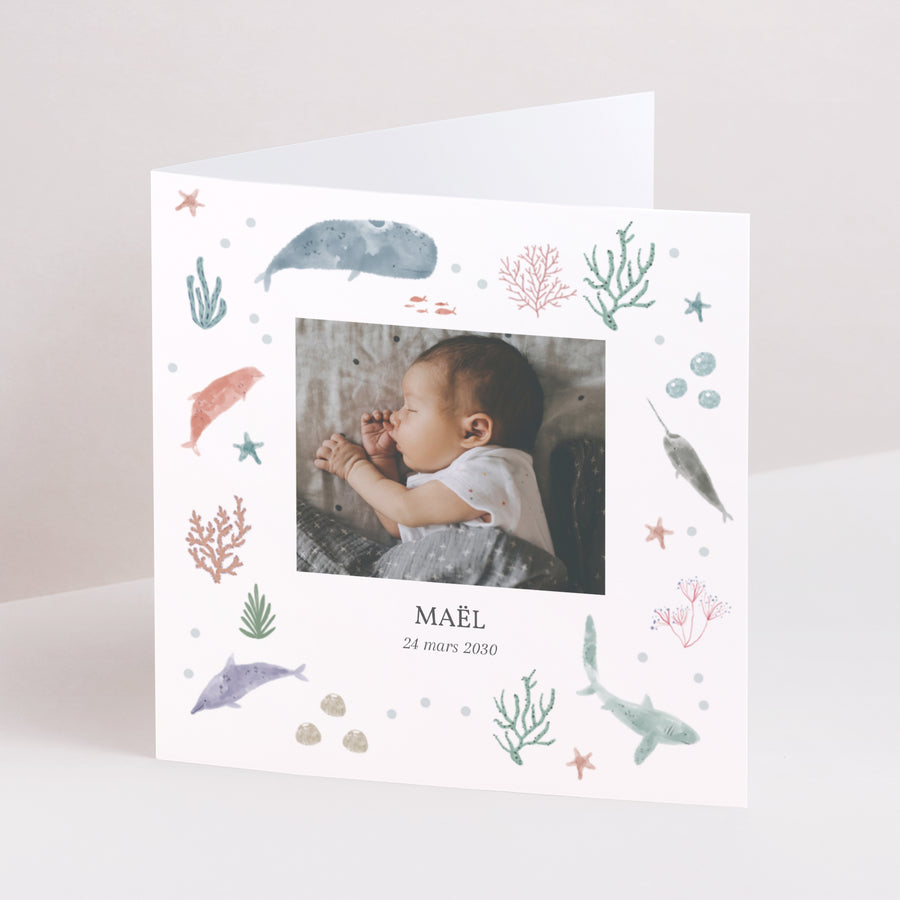 Faire-part Naissance Carré double volet Fonds marins photo