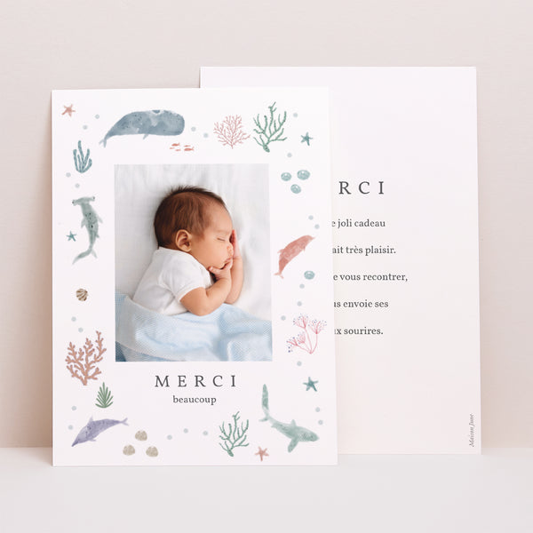 Remerciements Naissance Portrait Fonds marins photo