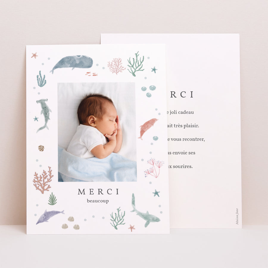 Remerciements Naissance Portrait Fonds marins photo