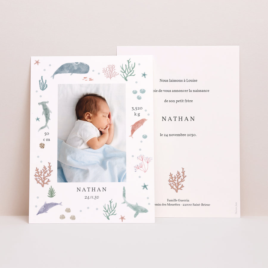 Faire-part Naissance Portrait Fonds marins photo