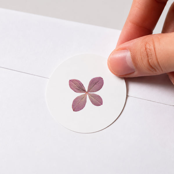 Sticker Naissance Rond Chemin des marettes rose photo