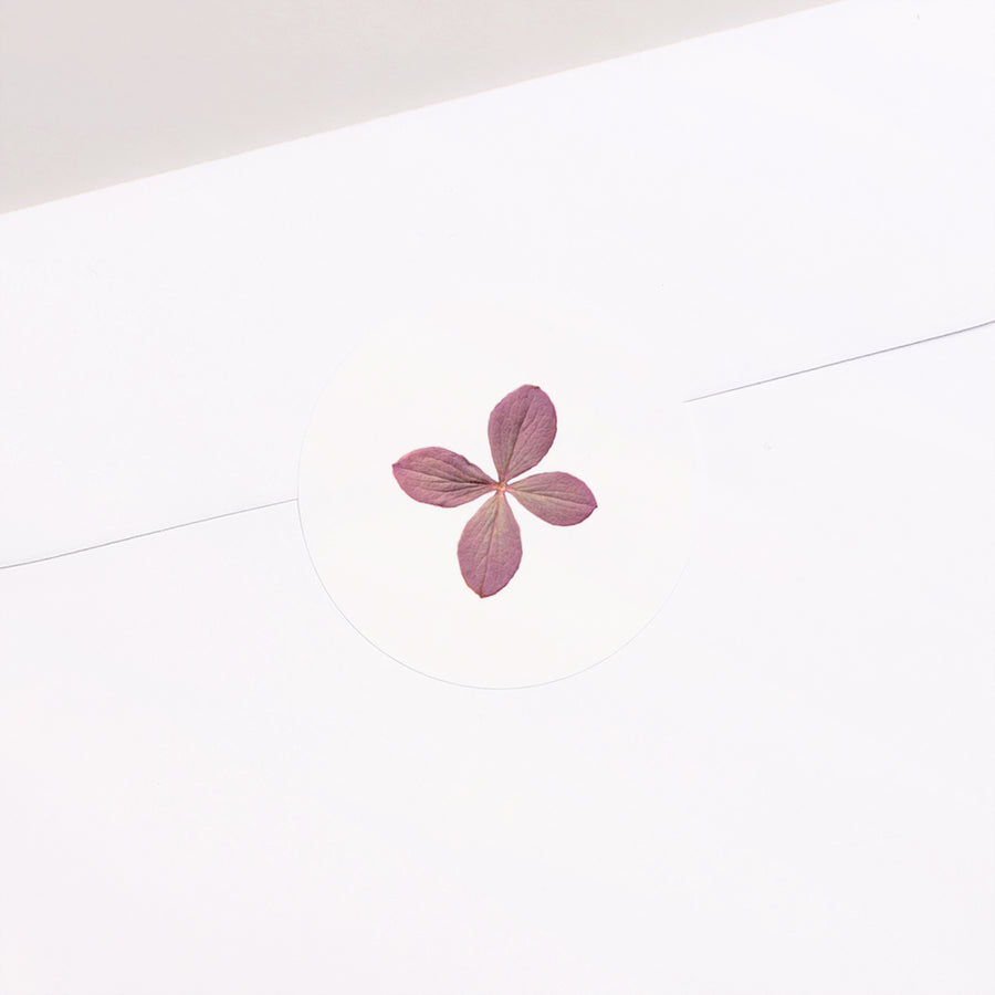 Sticker Naissance Rond chemin des marettes rose photo