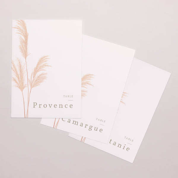 Marque table Mariage Rectangle Viva la pampa photo
