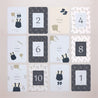 Carte étape bébé Naissance Lot de 12 Vestiaire garçon fond gris vert photo N° 3