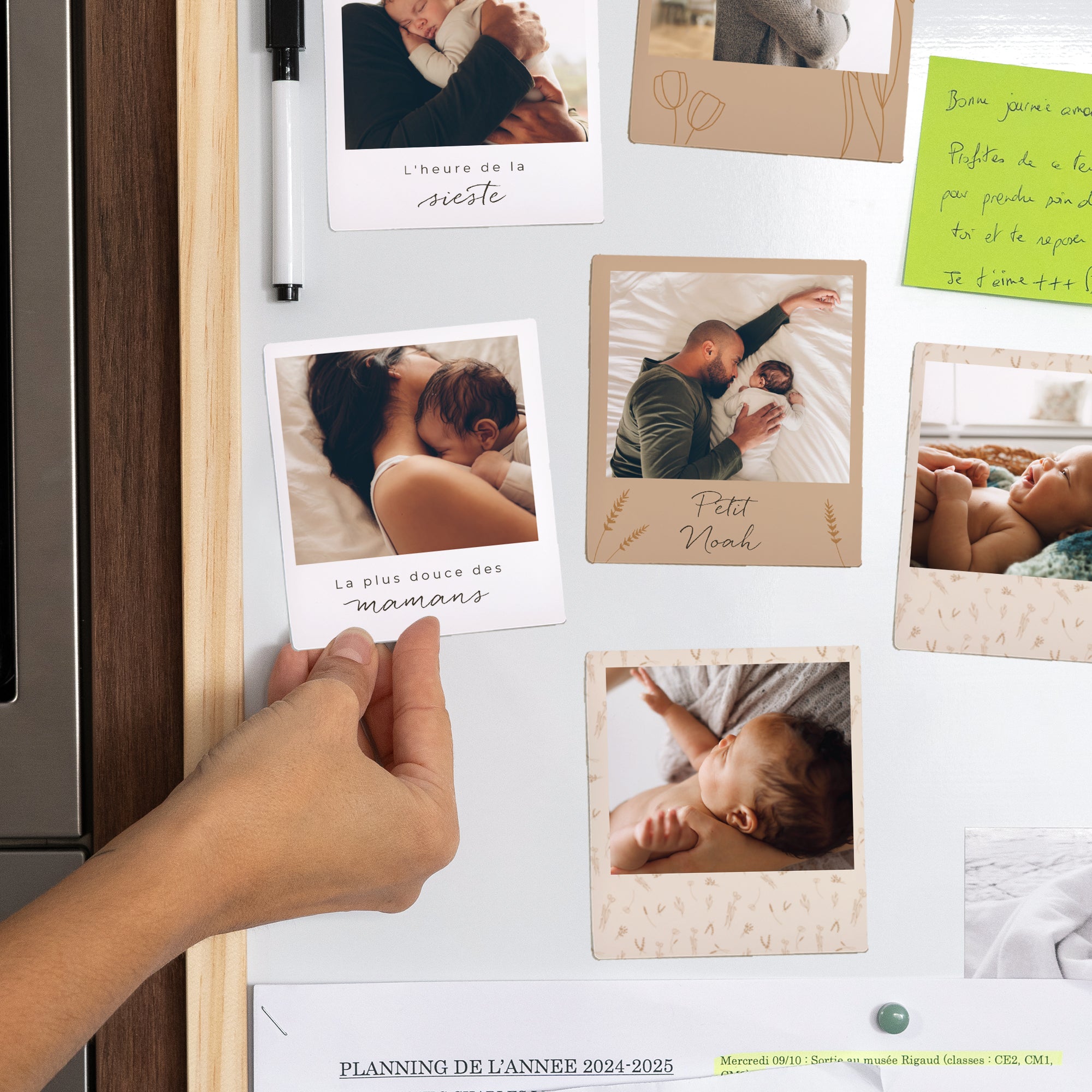 Magnet Objets Lot de 12, magnétique Petit herbier pour Maman photo N° 2