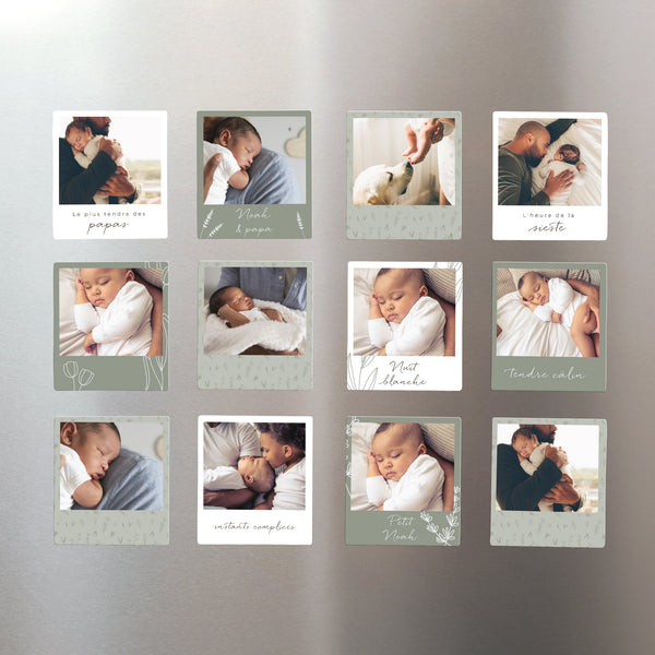 Magnet Objets Lot de 12, magnétique Petit herbier pour papa photo