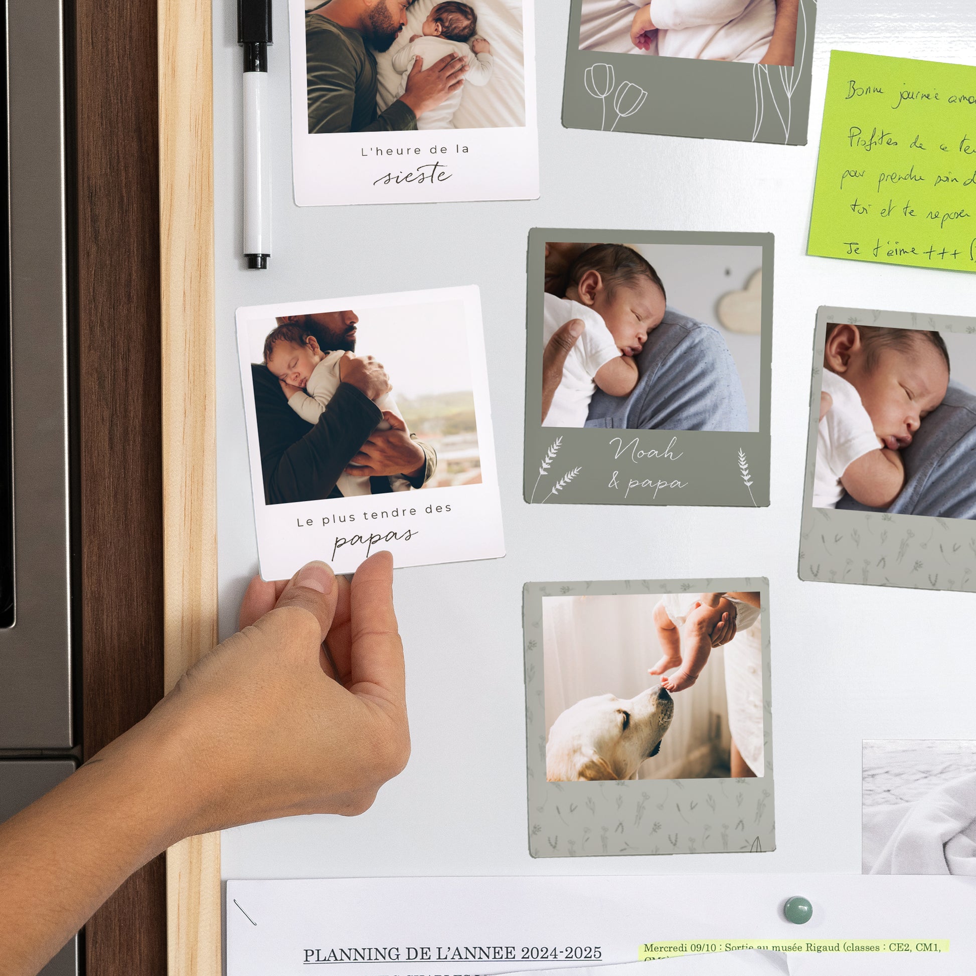 Magnet Objets Lot de 12, magnétique Petit herbier pour papa photo N° 2